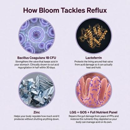 Nuvelle™ Bloom Reflux Gummies